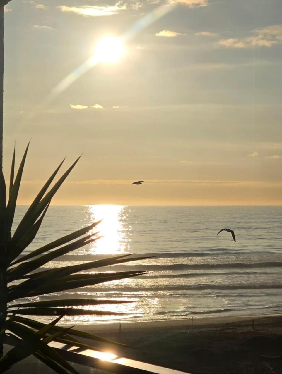 Apartamento Departamento Laguna Del Mar La Serena